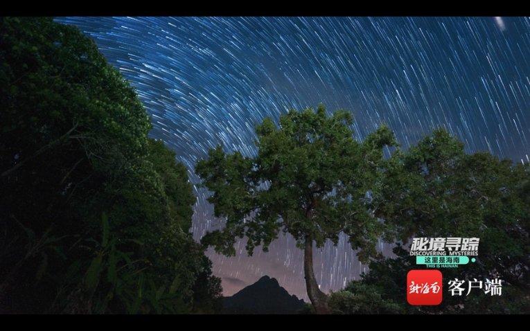 植物大战僵尸3