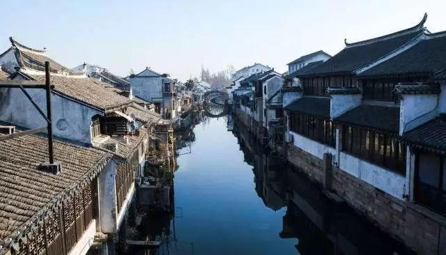拯救蓝色小鸟